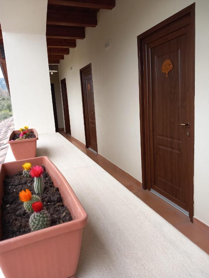 Agriturismo L'Ulivo Padula Eksteriør billede