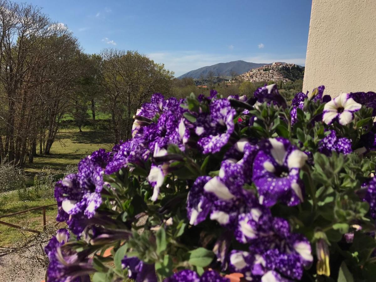 Agriturismo L'Ulivo Padula Eksteriør billede