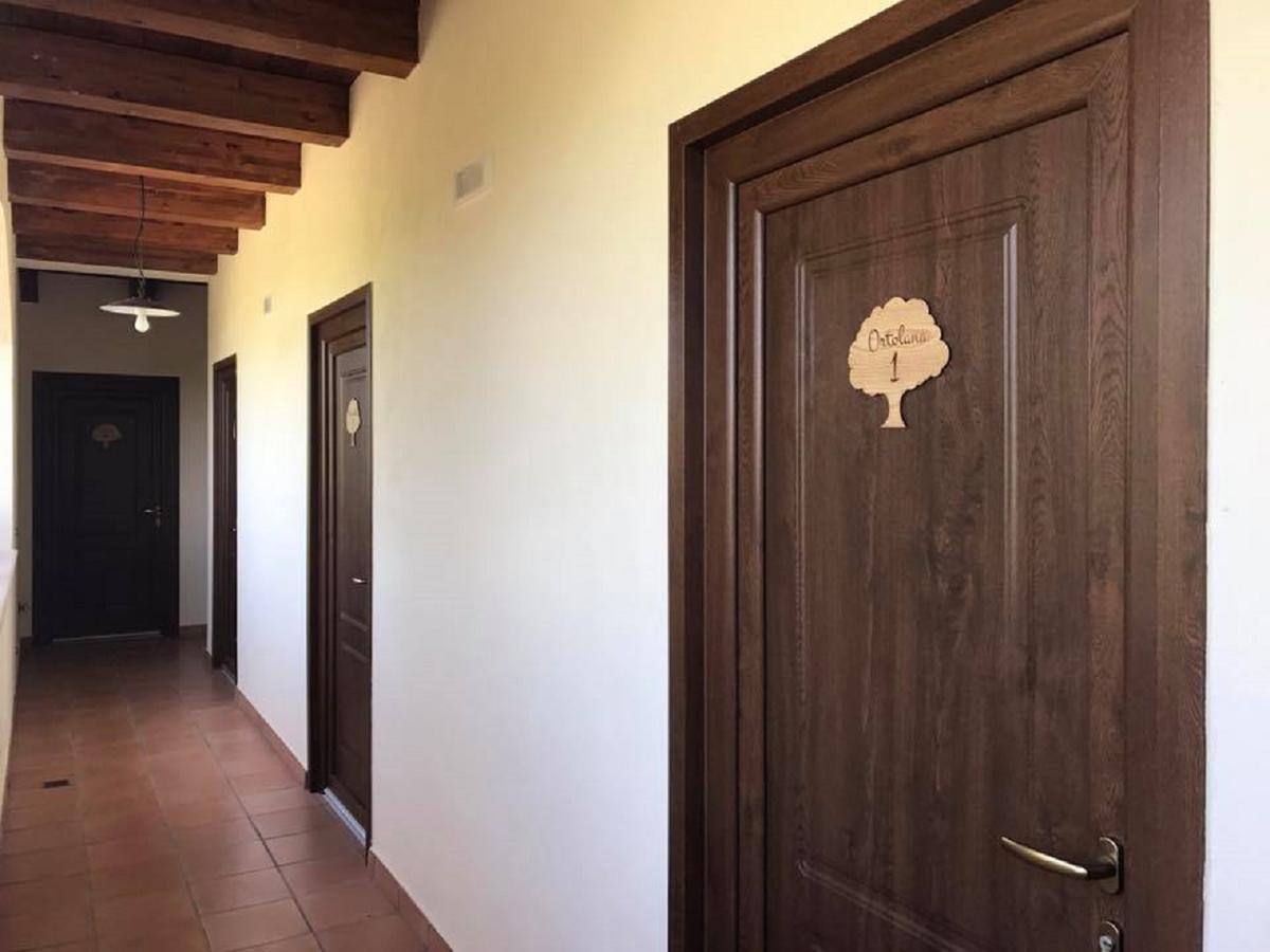 Agriturismo L'Ulivo Padula Eksteriør billede